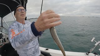 Happy Fisherman EP96 King George Whiting with Lindsay Field plus Dave and Joe [upl. by Javier]