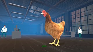 Chicken Feet Scape Cazando a uja Gallinas 🐓 Gigante Gameplay Android [upl. by Yentuoc]