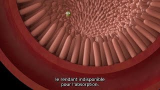 Bioplex Trace Minerals Animation  French Subtitles [upl. by Gonyea]