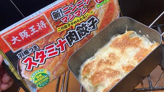 ニンニクマシマシ肉餃子グラタンをハイボールでキメるだけの動画 [upl. by Eadrahs]