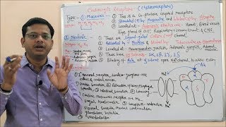 Cholinergic Drugs Part 02  Muscarinic amp Nicotinic Receptors  Cholinergic Receptors  Cholinergic [upl. by Adil]