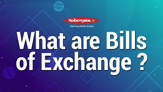 Bills of Exchange  Bills of Exchange Meaning  What are Bills of Exchange [upl. by Eisiam]