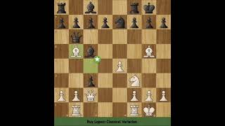 Wilhelm Steinitz loses his queen to Bobby Fischer chess [upl. by Cantu]