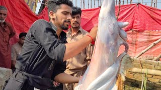 mukammal Bakra banane ka tarika meat catting skills  goat skin remove skill  ADIL qasai 🐐 [upl. by Morse]