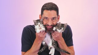 Tom Ellis The Kitten Interview [upl. by Brost]