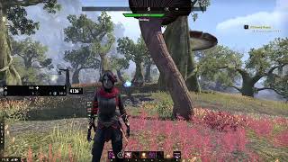 What Does Nya use  Elder Scrolls Online Addons for PvE and PvP Nightblade focus [upl. by Nivrek717]