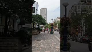 Life In YorkvilleTorontotravel 4k canada views tourism walkthrough love [upl. by Halimaj408]