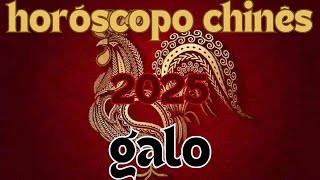 Horóscopo Chinês 2025  Galo [upl. by Ydaf]