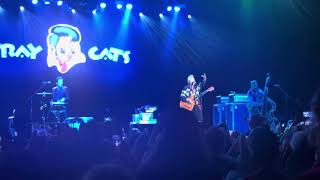 Stray Cats  Stray Cat Strut  Live Bridgeport CT 81724 [upl. by Kellene]