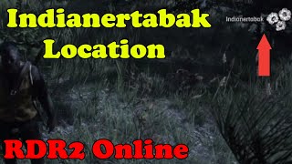 Indianertabak finden in Red Dead Redemption 2 Online RDR2 Location Spot Fundort Indian tobacco [upl. by Arabelle]