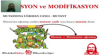 6 Mutasyon ve Modifikasyon  8 Sınıf [upl. by Eelyram]