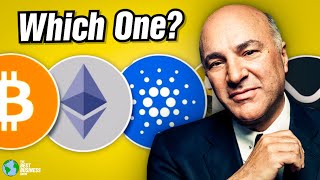 How I Decide What Crypto To Invest In Kevin OLeary [upl. by Docilu]