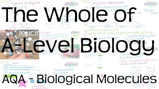 The Whole of AQA ALevel Biology  Biological Molecules  Revision [upl. by Garfield]