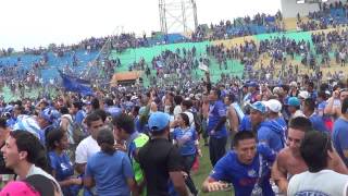 Poropopó poropopó ¡EMELEC CAMPEÓN 2013 [upl. by Asirram]