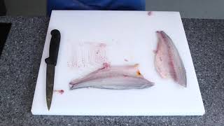 Master Fishmonger Standard Guide to Filleting  Sea Bass [upl. by Sabra215]