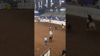 World Cup roping [upl. by Claudian]