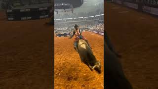 bull rodeo science sciencefacts [upl. by Assele]