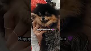 Yeontan birthday coming soon 🥳💜kimyeontan kimtaehyung v yeontan  BTS short💜 [upl. by Nil]