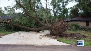 Answering your questions about FEMA denying assistance after Beryl [upl. by Sanoy503]