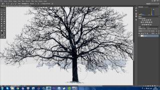 PHOTOSHOP CC  CÓMO BORRAR FONDOS DIFÍCILES  TUTORIAL [upl. by Ravert]