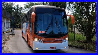 Movimentação De Ônibus Na Rodoviária De Recife  231024 [upl. by Ilysa]