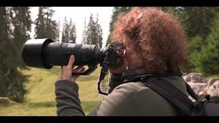 Les Nikon Z6II et Z7II en Macrophotographie et Image de Nature par Myriam Dupouy [upl. by Kraul]