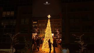 hamburg weihnachtsmarkt Weihnachtsmärkte in den Stadthöfen [upl. by Aicaca]