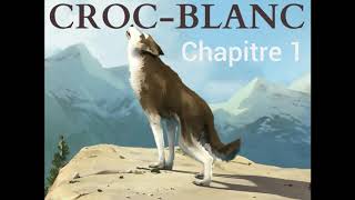 Croc Blanc  Livre audio 🔈  Chapitre 1  La piste de la viande  Jack London [upl. by Schoenberg]