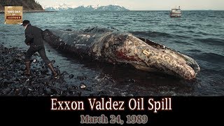 The Sound of Silence  Exxon Valdez Oil Spill [upl. by Oetsira]