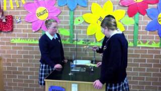 Year 8 Science Energy in food experiment 2010mov [upl. by Mikkel]