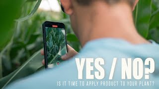 Product Applications When and Why [upl. by Sisenej]