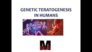 GENETIC TERATOGENESIS IN HUMANS [upl. by Muire]