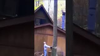 Tree Falls On Roof TreeCutting YesEpicYes Chainsaw [upl. by Aitnuahs]