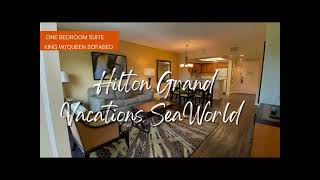 1 bedroom suite Hilton Grand Vacations SeaWorld [upl. by Karoline]