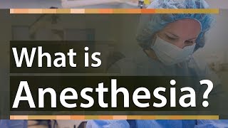 What is Anesthesia  Types of Anesthesia And How does it Work  Education Terminology [upl. by Sukramed]