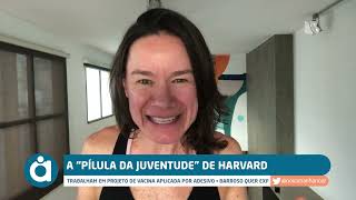 A “PÍLULA DA JUVENTUDE” DE HARVARD [upl. by Mauve123]