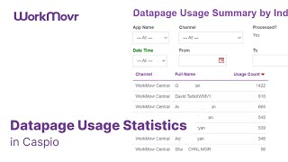 Datapage Usage Statistics in Caspio [upl. by Kirima]