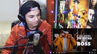 Explícale Remix  Yandel Ft Bad Bunny Cosculluela Noriel Y Brytiago Reaccion [upl. by Alyag]