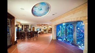 MOST AMAZING HOME AQUARIUM [upl. by Mcginnis]