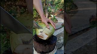 Amazing  Fantastic peeling coconut style satisfying coconut shorts [upl. by Bowman]