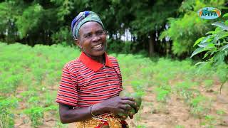 STUDY TOUR VIDEO HIGHLIGHT OF THE TRAINED COMMUNITY ON Climate Change amp NDCS Project [upl. by Swirsky]