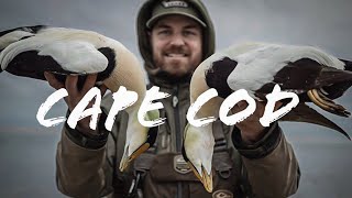 Epic Duck Hunting  Cape Cod Eiders [upl. by Sacram]