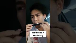 Harmonica Beatbox dwaynebeat beatbox beatboxing tiktok shorts harmonica [upl. by Naloj434]