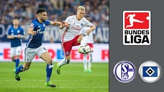 FC Schalke 04 vs Hamburger SV ᴴᴰ 13052017  33Spieltag  1 Bundesliga  FIFA 17 [upl. by Enar]