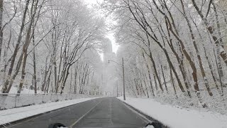 Snowy Toronto Drive  Canada Winter Wonderland [upl. by Uamak]