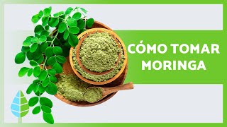 5 FORMAS de TOMAR MORINGA 🌿 ¡Benefíciate de su PROPIEDADES MEDICINALES [upl. by Belloir]