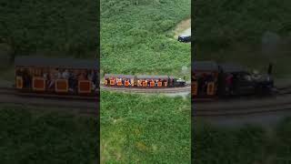 Sea lion on the groudle glen railway steamengine steamlocomotive loco steamrailway livesteam [upl. by Ruelu]