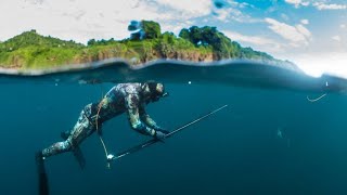 Spearfishing Tweed  Gold Coast  Morwong Sweetlip Remora 22092024 [upl. by Georges897]