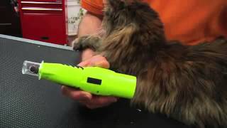 Demonstration Furminator Nail Trimmer and Nail Grinder for Cats [upl. by Lichter848]