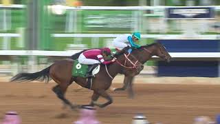 Race Replay R4  G3 Boutique Group Saudi Derby  Sat 24th February 2024 [upl. by Alix827]